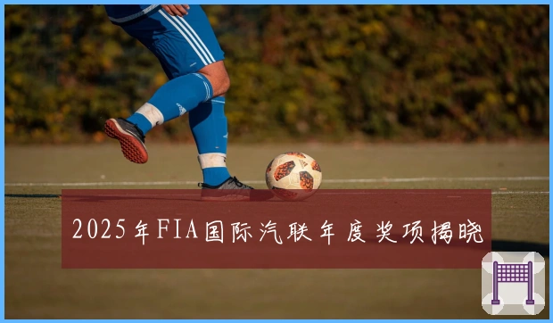 2025年FIA国际汽联年度奖项揭晓