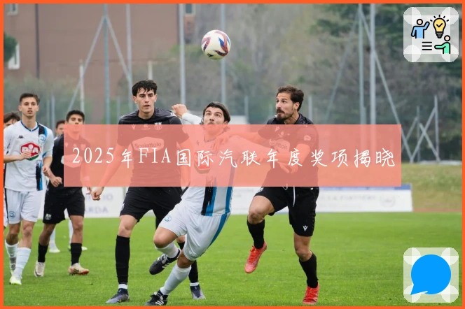 2025年FIA国际汽联年度奖项揭晓